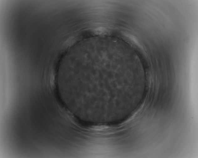 X0000094230266200711091319