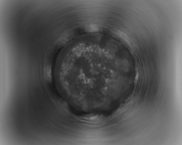 X0000094230267200711091319