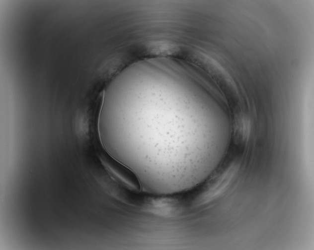 X0000094230268200711091319