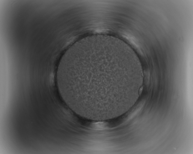 X0000094230269200711091319