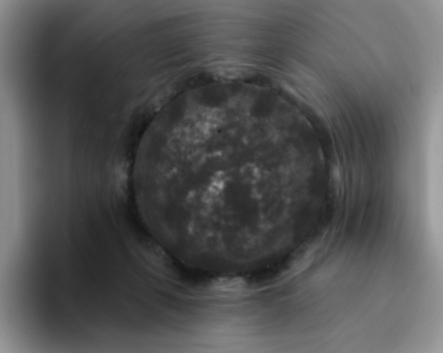 X0000094230271200711091319