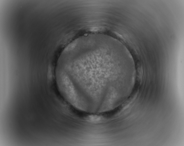 X0000094230272200711091319