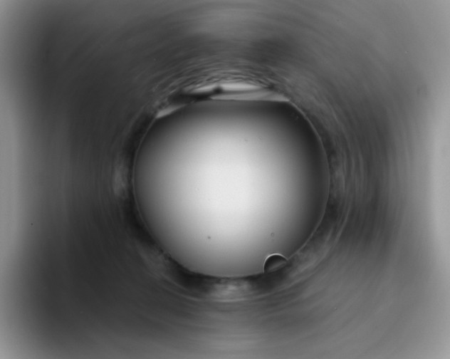 X0000094230274200711091319