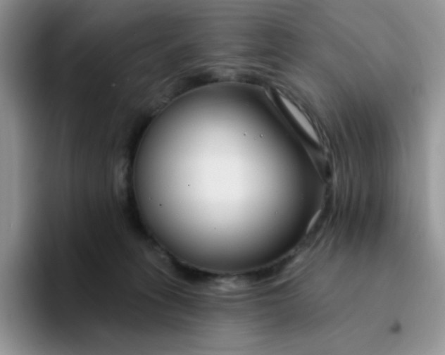 X0000094230275200711091319