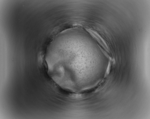 X0000094230276200711091319