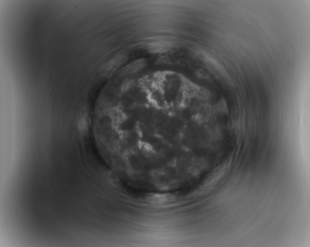 X0000094230277200711091319