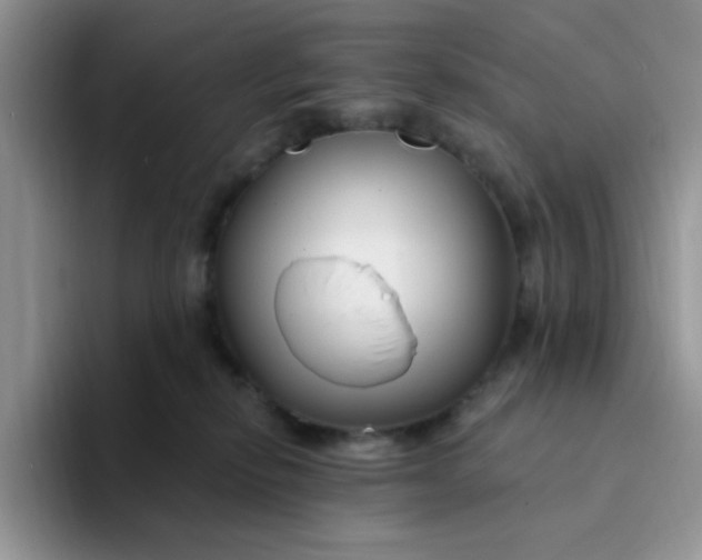 X0000094230278200711091319