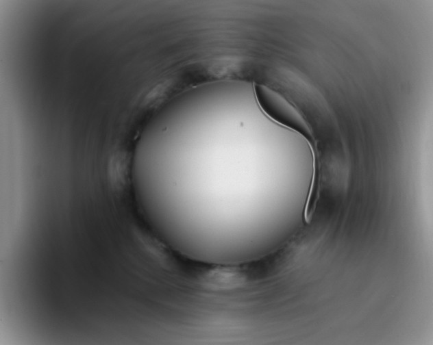 X0000094230280200711091319