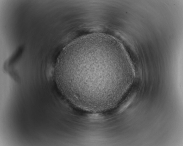 X0000094230281200711091319