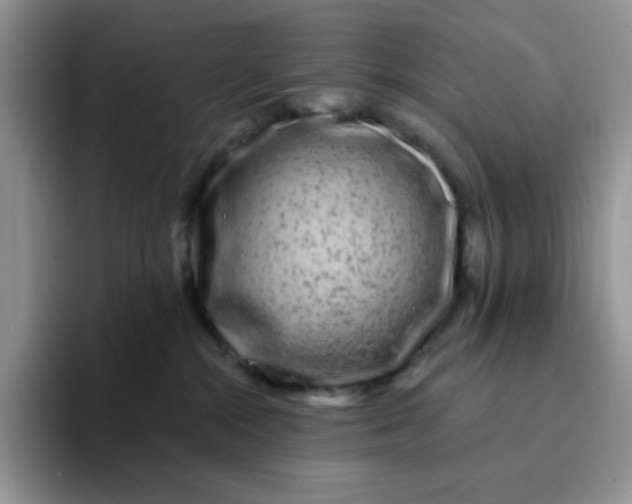 X0000094230284200711091319