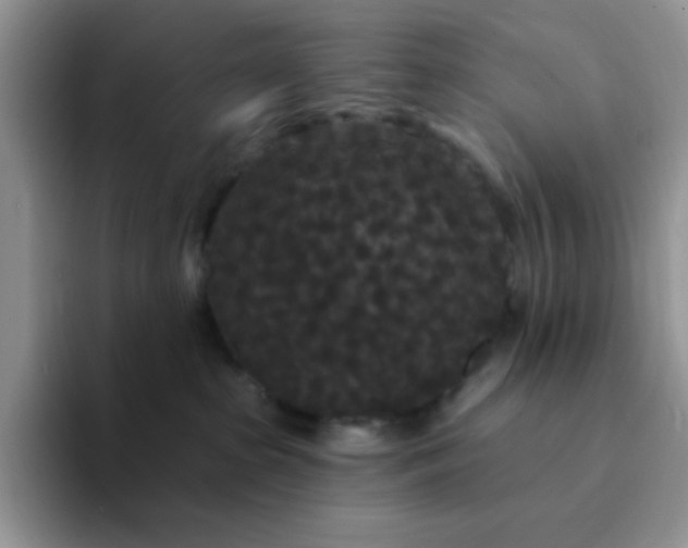 X0000094230285200711091319