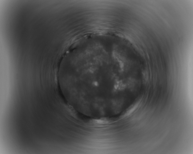 X0000094230286200711091319