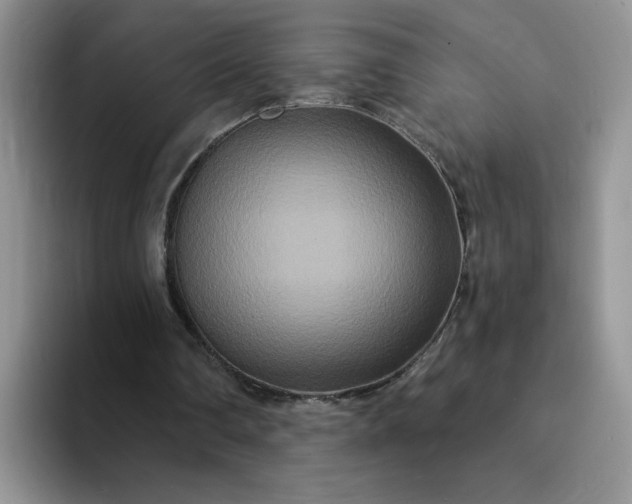 X0000094230290200711091319