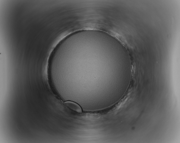 X0000094230292200711091319