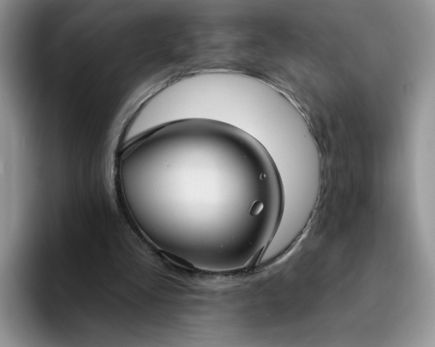 X0000094230293200711091319