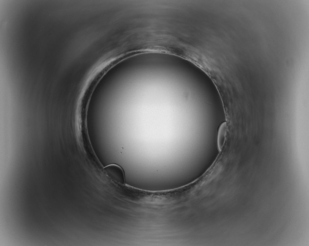 X0000094230294200711091319