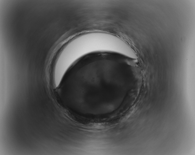 X0000094230295200711091319