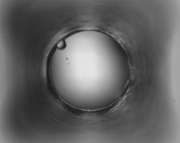 X0000094230296200711091319