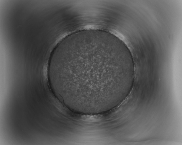 X0000094230297200711091319