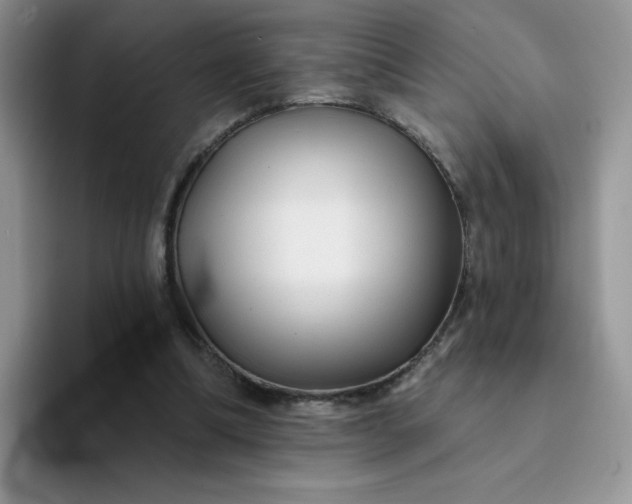 X0000094230298200711091319