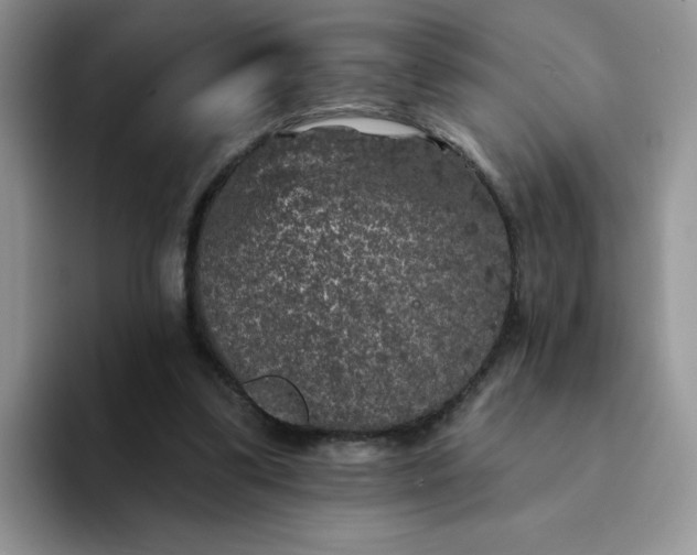 X0000094230299200711091319