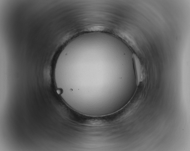 X0000094230300200711091319