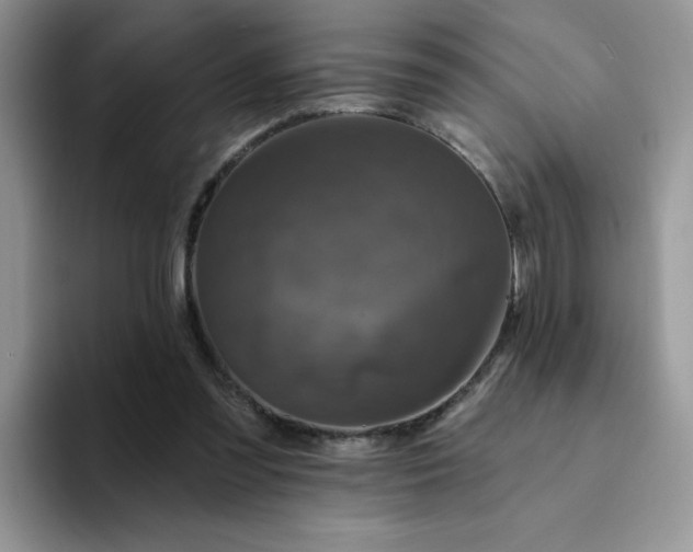 X0000094230301200711091319