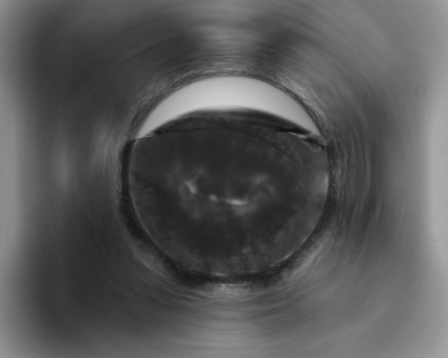 X0000094230303200711091319