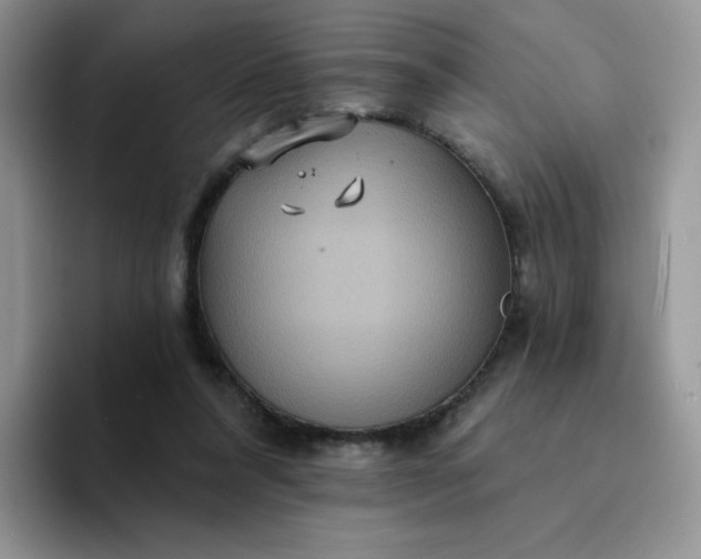 X0000094230304200711091319