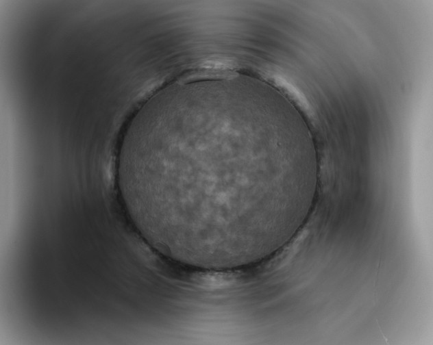 X0000094230305200711091319