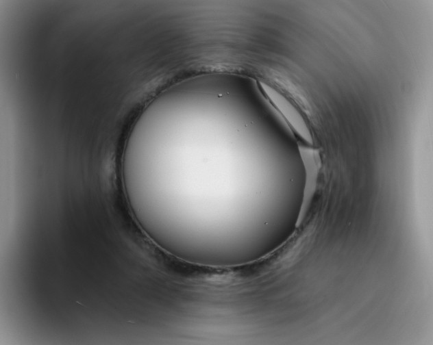 X0000094230306200711091319