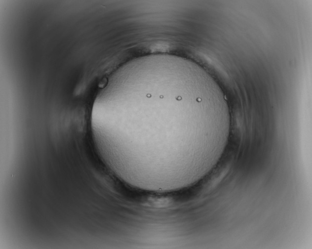 X0000094230311200711091319