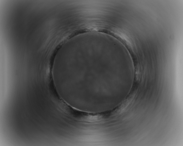 X0000094230314200711091319