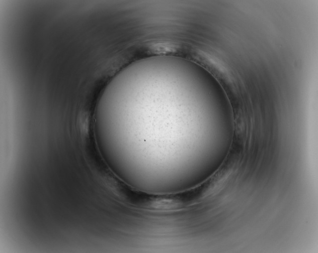 X0000094230315200711091319