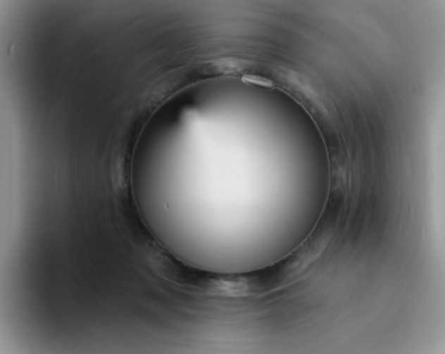 X0000094230317200711091319