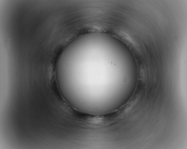 X0000094230318200711091319