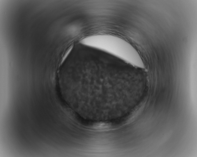 X0000094230319200711091319