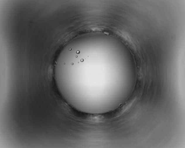 X0000094230321200711091319