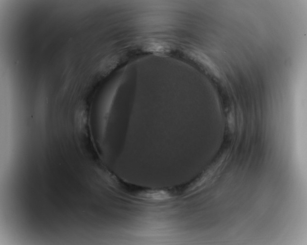 X0000094230322200711091319