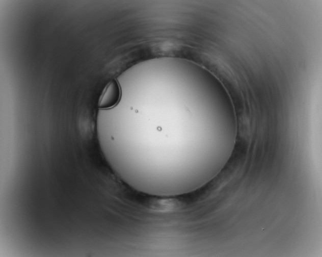 X0000094230324200711091318