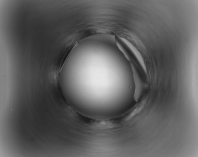 X0000094230329200711091318