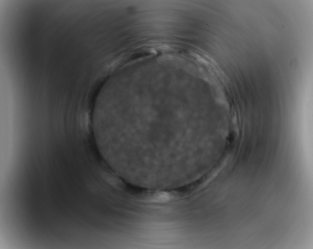 X0000094230330200711091318