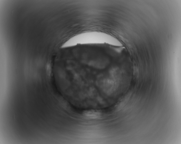 X0000094230331200711091318