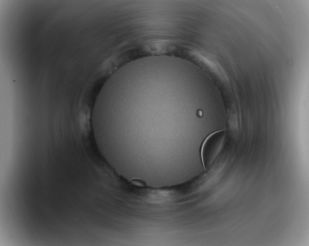 X0000094230332200711091318