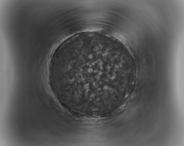 X0000094230337200711091318