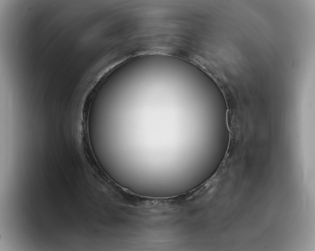 X0000094230338200711091318