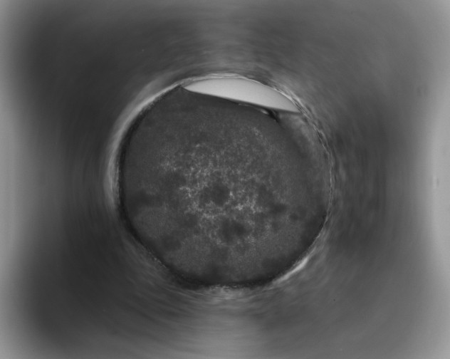 X0000094230343200711091318