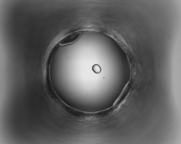 X0000094230344200711091318