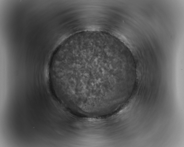 X0000094230347200711091318