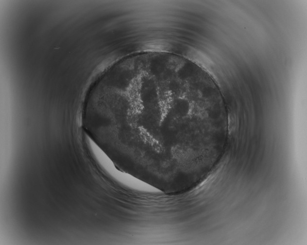 X0000094230349200711091318